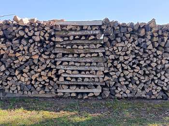 Trail Walking Büllingen - vallee de la holzwarche - Photo