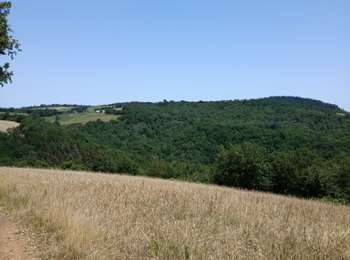 Tour Quad Felzins - rando quad - Photo