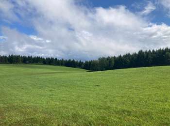 Trail Walking Saint-Bresson - Saint-Bresson  - Photo