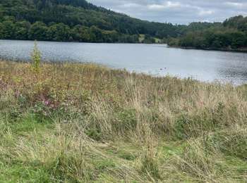 Trail Walking Simmerath - Rursee 19 Km - Photo
