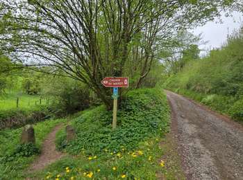 Tour Wandern Theux -  La vallée du Wayot 💦 - Photo