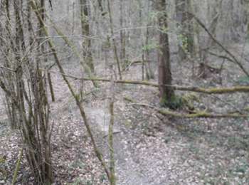 Percorso Marcia Paslières - covid 1 - Photo