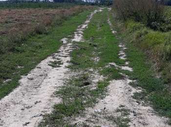 Trail Walking Engis - clermont-sous-huy  - Photo