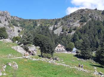 Trail Walking Le Valtin - Lac Vert - Lac du Forlet - Gazon du Faing - Photo