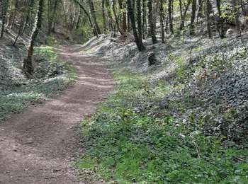 Percorso Marcia Romagnat - JUSSAT DEPUIS BAS PLATEAU GERGOVIE - Photo