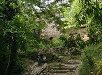 Trail Walking Laroque-des-Albères - Circuit des 2 fontaines - Photo