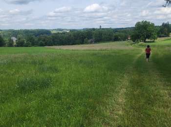 Trail Walking Belmont - les milles étangs.  départ de belmont  - Photo