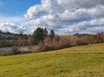 Randonnée Marche Gedinne - Balade à Malvoisin - Gedinne - Photo