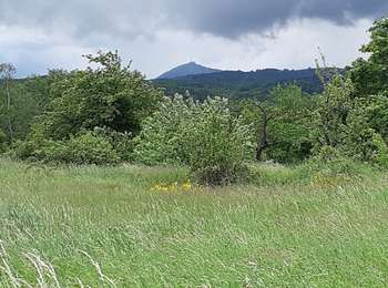 Percorso Marcia Blanzat - PLATEAU DE LA BADE - Photo