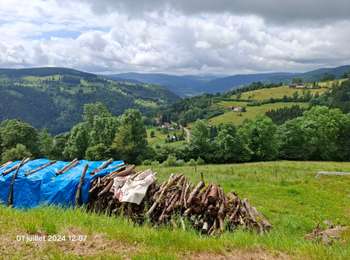 Randonnée Marche La Bresse - la montagne aux Lamas - Photo