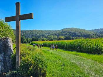 Tour Wandern Anhée - Marche Adeps à Anhée - Photo