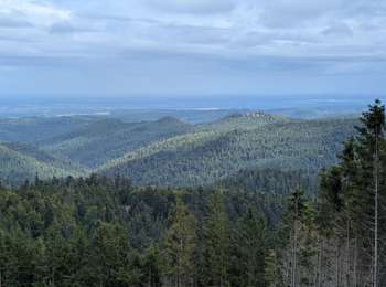 Tour Reiten Turquestein-Blancrupt - suuntoapp-HorsebackRiding-2025-08-31T06-50-03Z - Photo