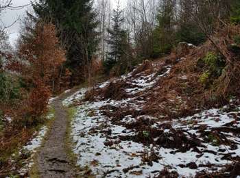 Tocht Stappen Monschau - 2021-12-01_19h44m48_804 - Photo