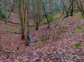 Trail Walking Liège - Angleterre reco 0125 - Photo