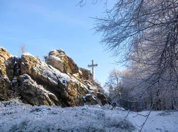 Trail Walking Bütgenbach - 2026-01-09_09h13m14_t120079031_kreuz-im-venn - Photo