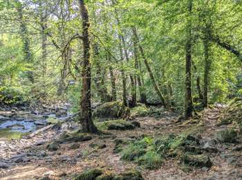Trail Walking Avallon - 2022-08-28_08h48m33_01 - dimanche 10 km - Photo