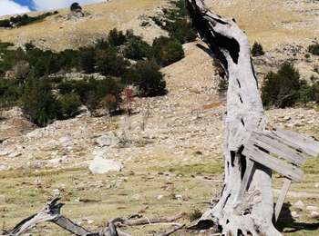 Trail Walking Ghisoni - GR20 Corse étape 11 - Photo