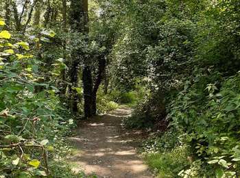 Tocht Stappen Court-Saint-Étienne - GG-Bw-03_La Roche - Nivelles - Photo