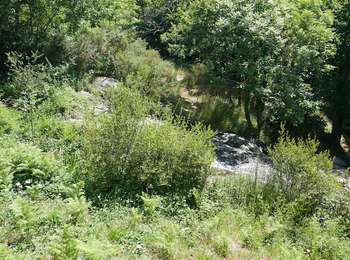Trail Walking Saint-Denis - Prise d'eau d'Alzeau - Photo