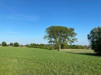 Randonnée Marche Asse - Relleghem 6 km - Photo