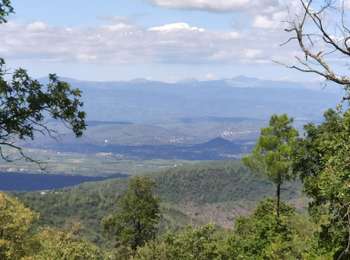 Randonnée Marche La Garde-Freinet - Route des crêtes - La Garde-Freinet - Photo