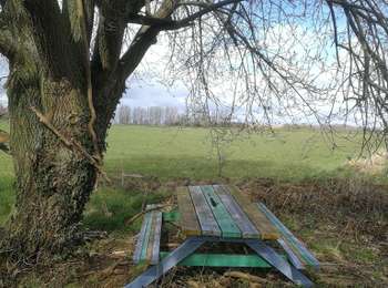 Trail Walking Braine-le-Comte - 2021-03-14 14:43:04 Hy - BLC - Ligne 123 - Rebecq_Ist - Photo
