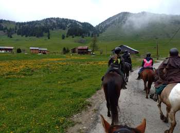 Trail Horseback riding Mont-Saxonnex - rando Bargy Yoan 1/2 - Photo