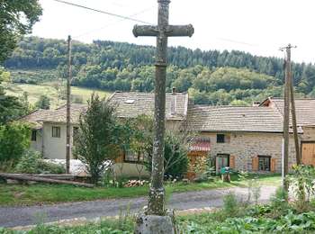 Percorso A piedi Saint-Martin-des-Olmes - Saint Martin Des Olmes - Photo