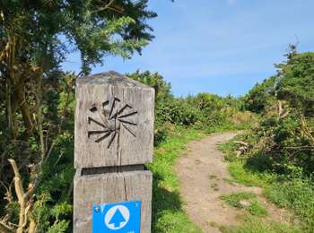 Percorso Marcia Wissant - Le sentier du Fartz - Photo