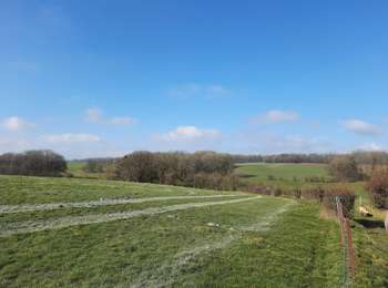 Trail Walking Tinlot - Ramelot - Photo