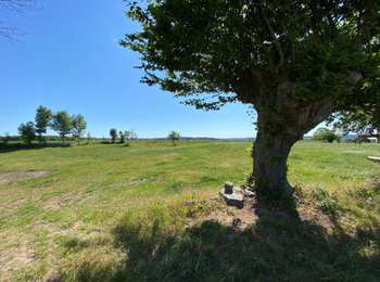 Tocht Stappen Kasteelbrakel - Braine le château 22 km - Photo