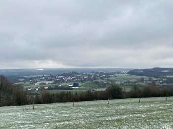 Trail Walking Marche-en-Famenne - Grimbiemont - Photo