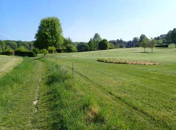 Tocht Stappen Chaumont-Gistoux - #200330 - Gistoux, Inchebroux, Champ des Goffes*** - Photo