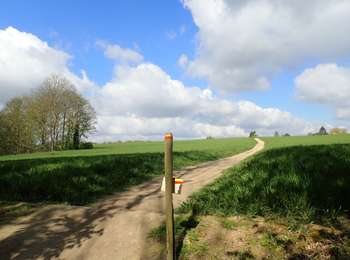 Tocht Stappen Chaumont-Gistoux - #210507 Dion-le-Mont, Pisselet et Louvranges - Photo