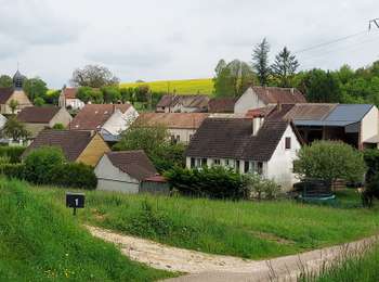 Trail Walking Subligny - Subligny 240501 - Photo