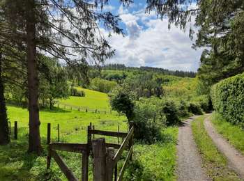 Trail Walking Neupré - Autour de Houte-Si-Plou - Photo