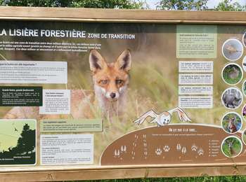 Trail Walking Braives - De Fumal à Huccorgne par la vallée de la Mehaigne - Photo