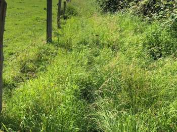 Trail Walking Liège - Jupille - Photo