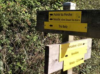 Tour Wandern Belz - 56-Belz_sentier_cotier_11kmD70m - Photo