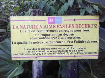 Trail On foot Petit-Bourg - Trace des ruisseaux - Photo