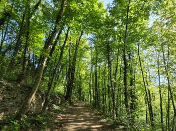 Tour Wandern Luxemburg - Auto-pédestre Bonnevoie  - Photo