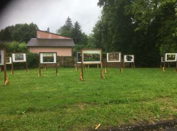 Tour Pfad Moret-Loing-et-Orvanne - Moret realisé - Photo