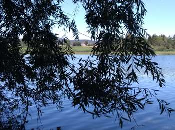 Trail Walking Grande-Rivière-Château - 07-08-20 lac de l'abbaye, belvédère du moulin - Photo