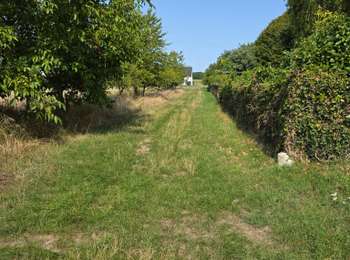 Randonnée Marche Chailles - Chailles - Seur - Photo