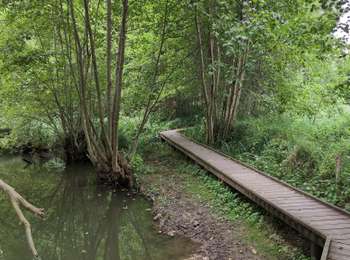 Randonnée Marche Charentilly - Charentilly - variante Chemin des Grandes Tailles - 11.2km 110m 3h00 - 2025 08 27 - Photo