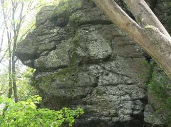 Trail On foot Honnelles - Balade le long de la Grande Honnelle - Photo