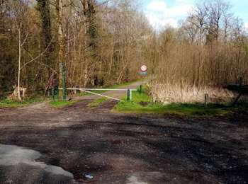 Trail Nordic walking Frameries - Colfontaine Pavillon  - Photo