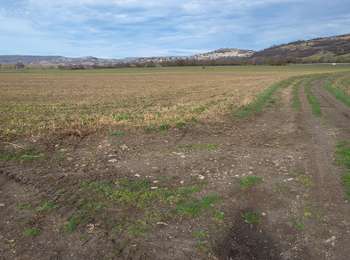 Percorso Marcia La Sauvetat - la sauvetat 1 - Photo