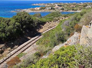 Excursión Senderismo Aregno - marine de davia - Photo