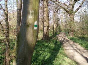 Percorso Marcia Blegny - Promenade vers les Houlpais - Photo